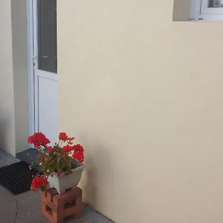 Appartement Pasteur *